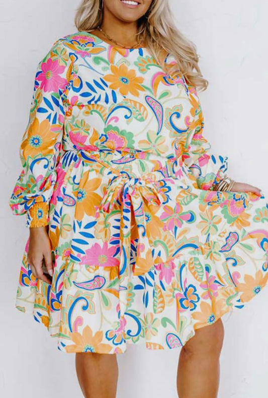 Plus Paisley Floral Dress